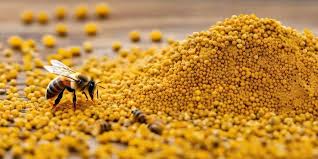 POLEN DE ABEJAS x 125g